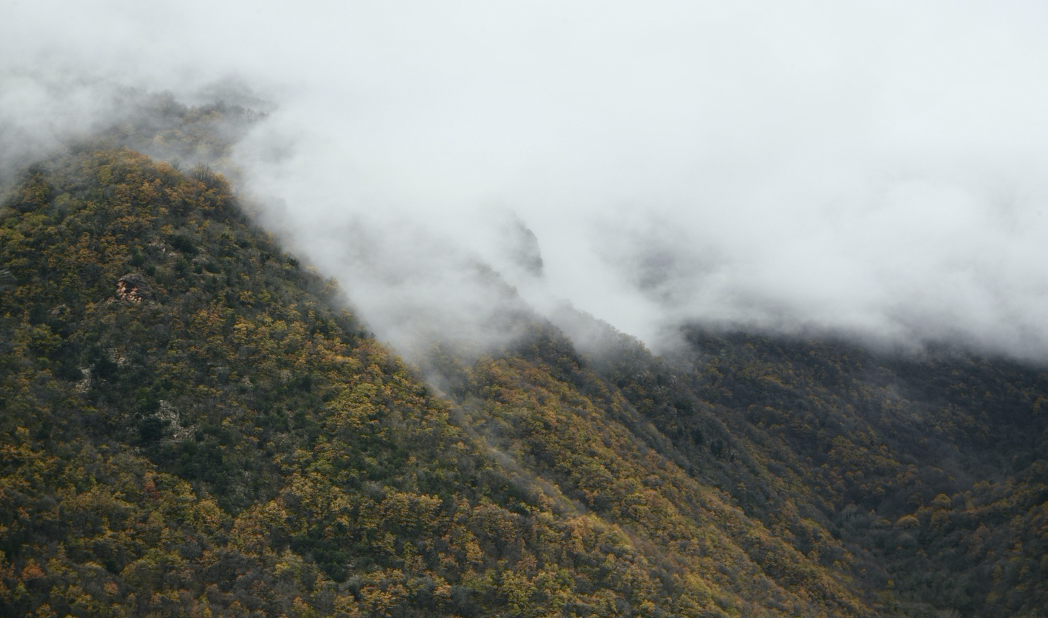 HOMESESSION | Becas de movilidad internacional para artistas baleares y catalanes