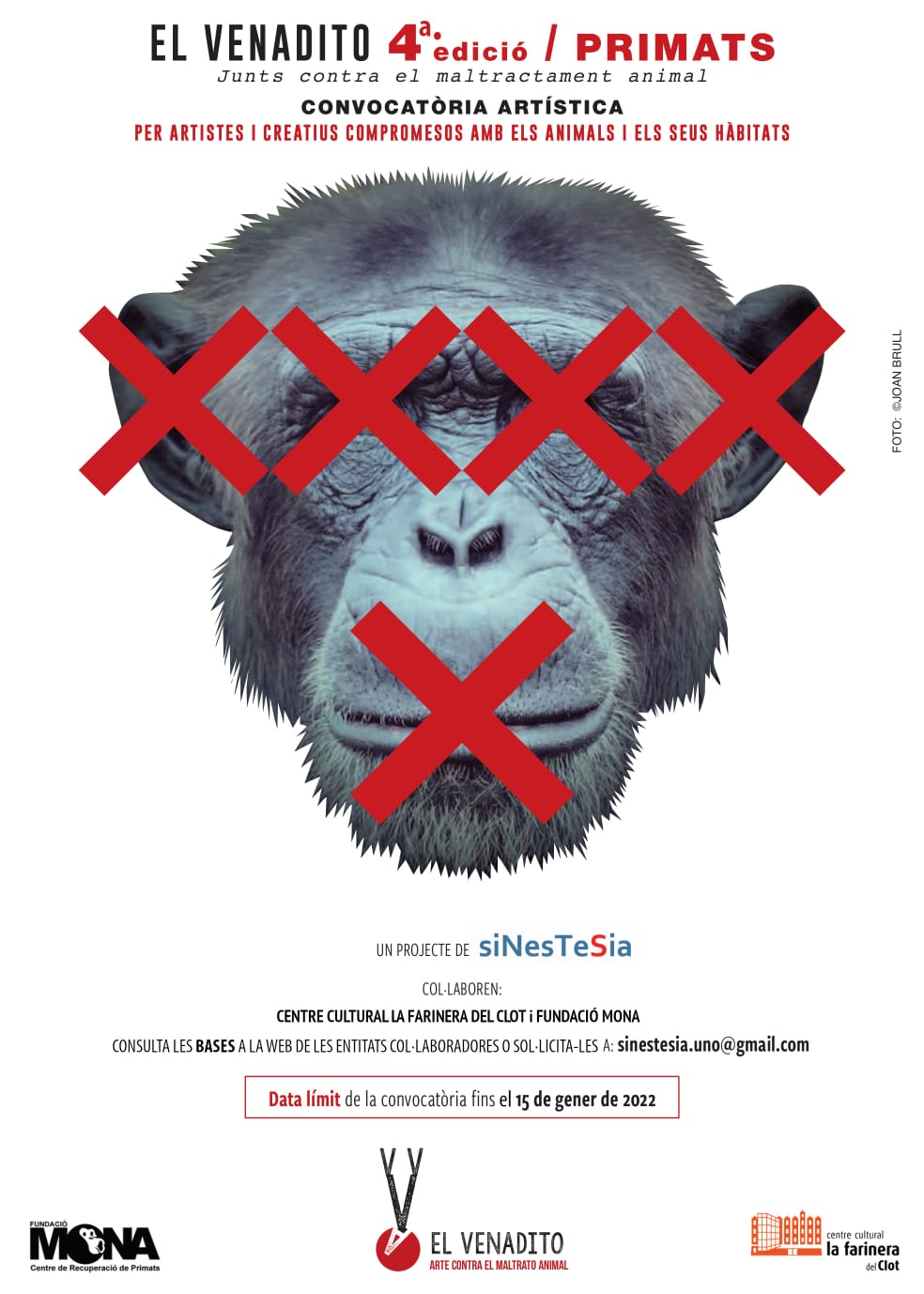 SINESTESIA | El Venadito 4ªed.