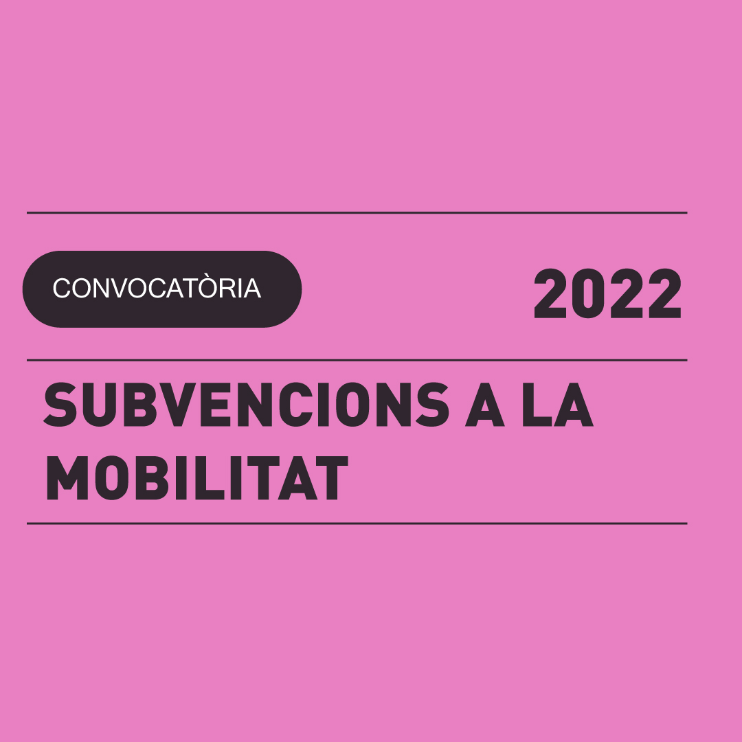 13.07 | SUBVENCIONS A LA MOBILITAT