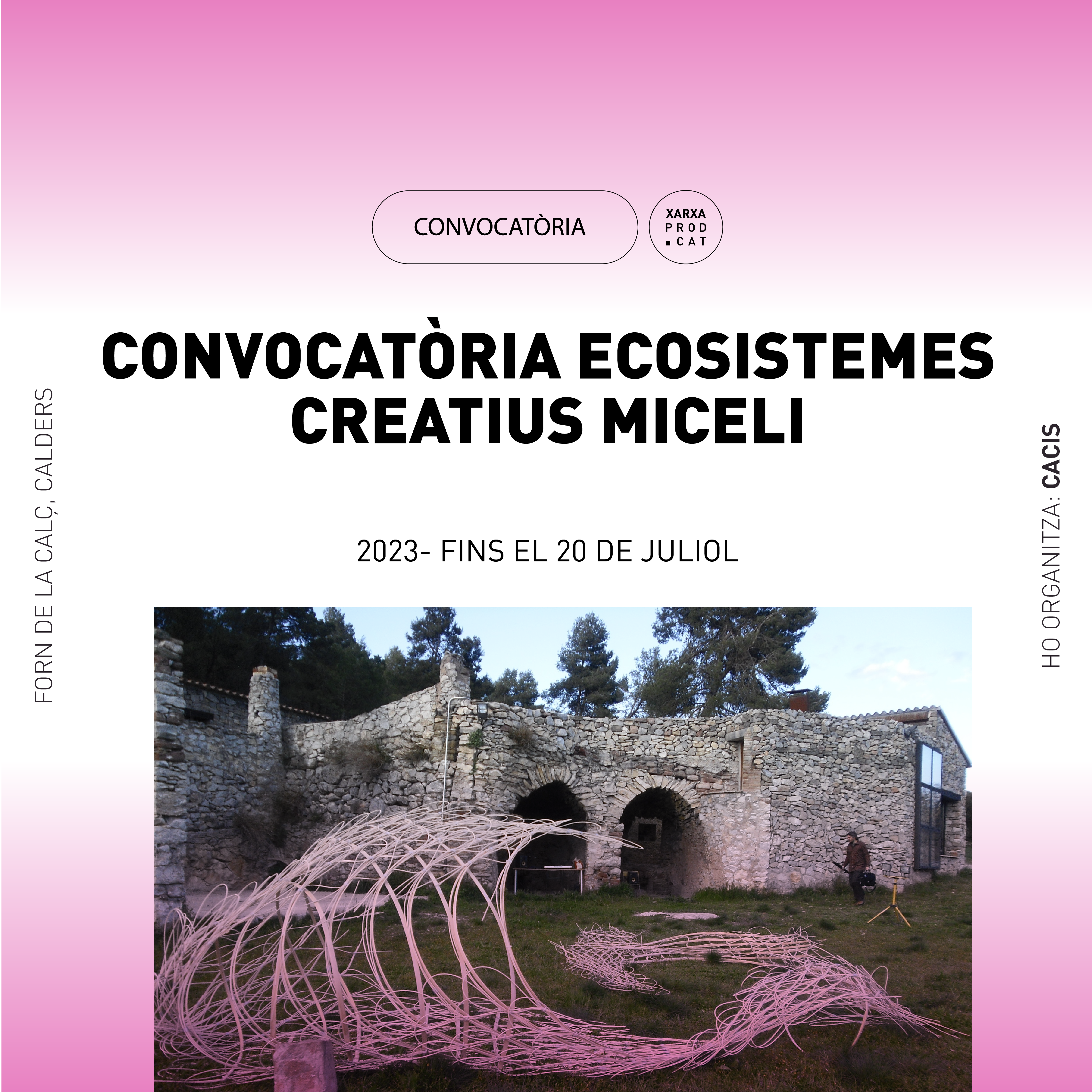 CONVOCATÒRIA ECOSISTEMES CREATIUS MICELES
