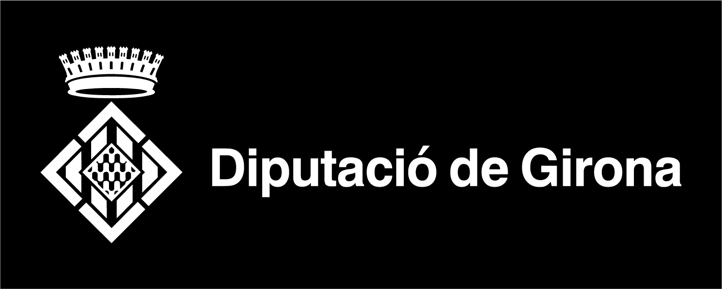 diputacio lleida logo
