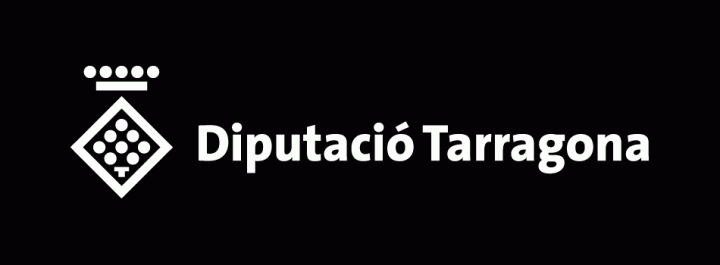 diputacio lleida logo
